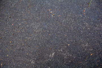 Wet black asphalt after rain with grass