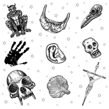 Occult set of mystic magic elements. Occultism with esoteric and witchcraft symbols. Human palm, Jesus on the cross, jaw bone, vampire garlic, skull, ear, monkey skull, raven head, demon. Vector.