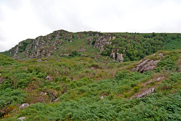 Mountain of the Killarney National Park, Ireland