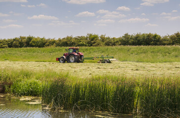 Fototapeta premium Farmer cutting Hay for animal feed by a fen
