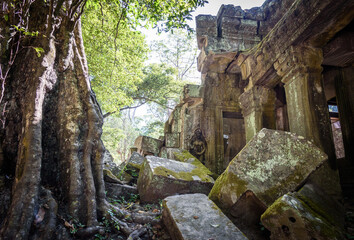 Angkor, Ta Prohm-Tempelkomplex. Dieser Tempel ist als "Dschungeltempel" bekannt, Krong Siem Reap, Siem Reap Province, Kambodscha