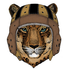 Leopard, jaguar face. Rugby leather helmet. Portrait of wild animal. © helen_f