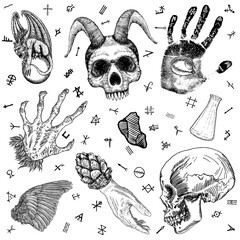 Witchcraft set of occult medium reader equipment. Alchemy, religion and spirituality occultism. Witch magic elements set. Human skull, glass potion cup, palmistry reader hand, woman witch palm. Vector