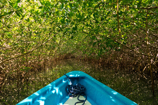 Fahrt durch die Mangroventunnel der Laguna Chacahua, Oaxaca, Mexiko