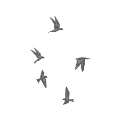 Silhouette of city flying birds on white background. Inspirational body flash tattoo ink. Set of textured stipple grey birds fly swallows, hand made. Vector.