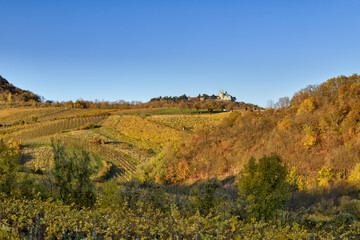 Fototapeta na wymiar View over vineyards and woods to Leopoldsberg, colorful leaves in golden fall afternoon light, Vienna, Austria