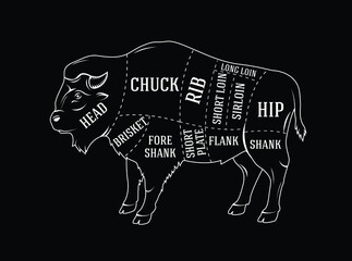Butchers diagram guide for cutting bison © Darko