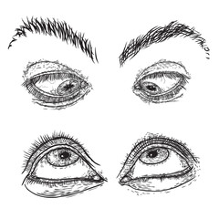 Female and male eye and brow with lashes image set in different mood and directions. Fashion boy and girl vision design. Ink hand drawing for makeup look and studio salon or tattoo design. Vector.