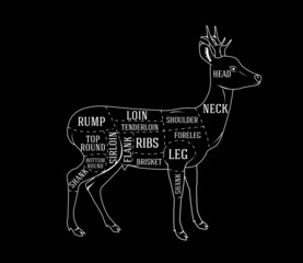 Butchers diagram guide for cutting roe deer © Darko