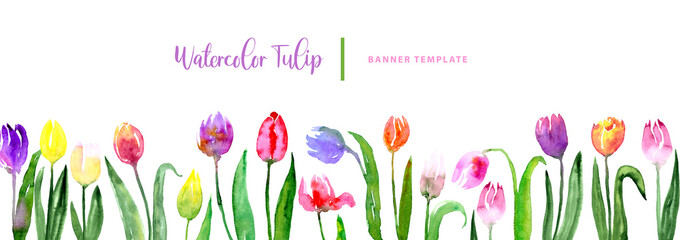 Watercolor beautiful loose style pink, red, violet, yellow tulip flower and green leaves banner. Modern color trendy template for invitation, wedding, banner, greeting card design, poster