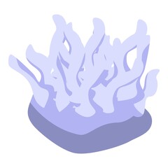 Nature coral icon. Isometric of nature coral vector icon for web design isolated on white background