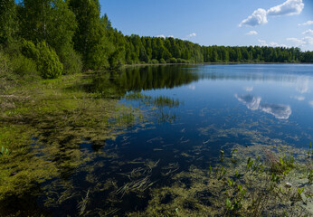 Obraz premium Lake in the forest in the spring with a reflection of the sky