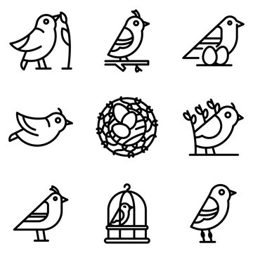Quail icons set. Outline set of quail vector icons for web design isolated on white background