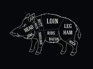 butchers diagram guide for cutting wild boar