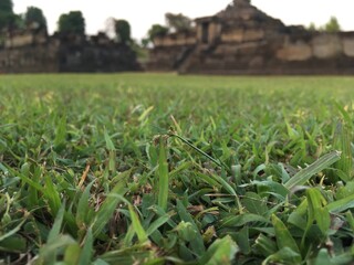 Ruins of a temple Building Old city 