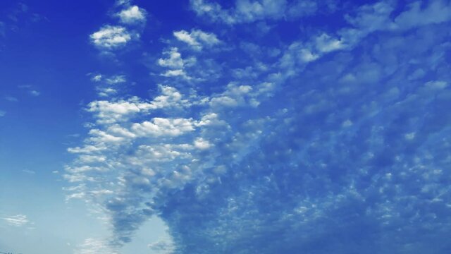 青空に広がって遠ざかる雲 高積雲 タイムラプス
