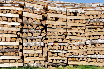 Summer. Preparing for the winter. Dry birch sawn and chopped firewood stacked in raspberries