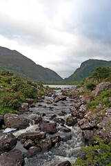 Fototapeta na wymiar Stream in the near of the Old Weir Bridge in the Killarney National Park, Ireland