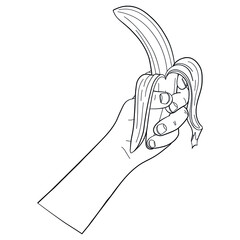 monochrome outline drawing of a hand holding a banana. comic vector illustration.