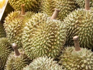 Naklejka na ściany i meble agriculture, delicious, durian, farm, farming, food, fruit, fruity, green, harvest, natural, ripe, seasonal, smell, smelly, sweet