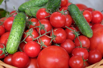 Agricultural products rich harvest vegetables