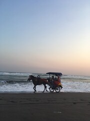 Fototapeta na wymiar Horse carrier in a tropical sunset beach