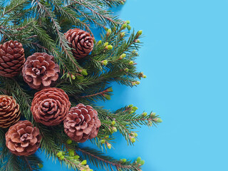 Fir cones and spruce green branches on a blue background. The basis for the New Year and Christmas...