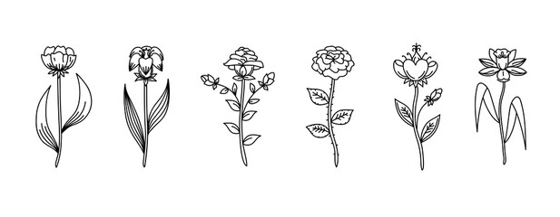  black floral set, black outline line art, sketch flowers isolated on white background,  leaf and flowers illustration to create romantic or vintage design