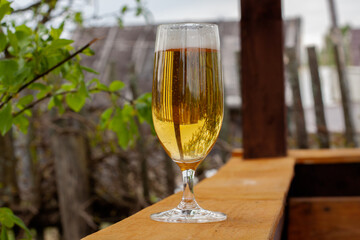 glass glass with beer in nature. bubbles in a glass with foam