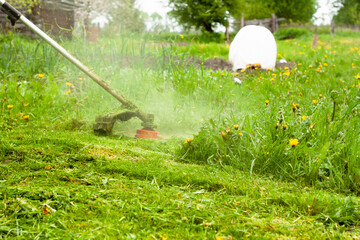 a man mows the lawn with a gas mower with a fishing line