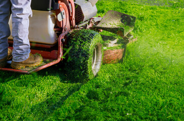 Cutting the grass gardening activity, lawn mower cutting the grass. - obrazy, fototapety, plakaty