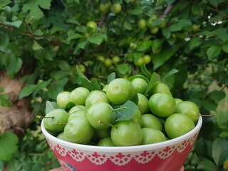 1 cup of plums