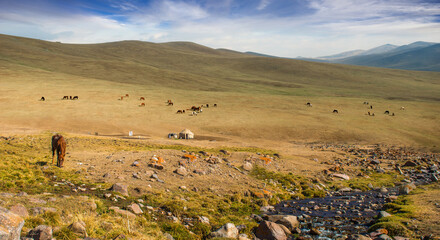 Kazakhstan nature, Plateau Assy, Almaty