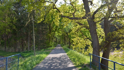 Marschbahndamm_063