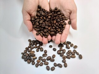 Female hands hold a handful of brown grains of roasted coffee. A little scattered on the table