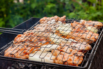 chicken skewer from thighs with onions. cooking on a grill on coals