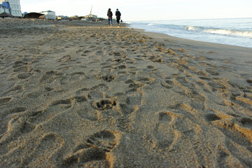 footprints in the sand
footprints of people on the seashore
sea ​​sand
Caspian Sea