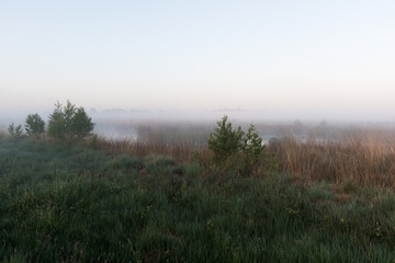 Obraz na płótnie Canvas misty morning in the moor
