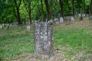Jewish tombstones on the historic Jewish cemetery in forest in Kobersdorf