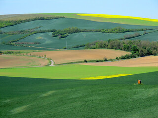 Colorful landscape in Moravian Tuscany. South Moravia (Czech Republic)