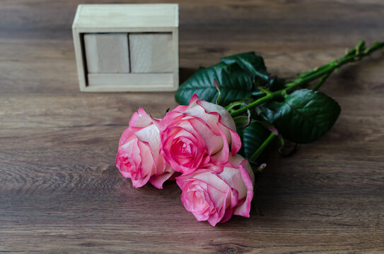 pink rose fresh flowers on a wooden background