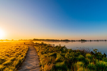 misty morning sunrise in the bog with wooden path