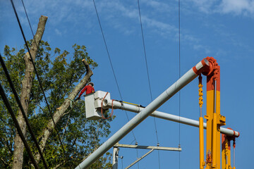 A man in the aerial platform pruning branches of tree with chainsaw of crane during cutting a tree