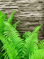 Naklejka premium Concrete fence, wild stone decor. Green grass, lawn. Flowers near the concrete fence. Natural empty scene.