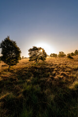 Obraz premium sunrise with fog in the moor