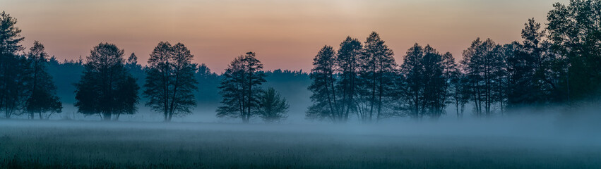 panorama of forest landscape in fog at sunset