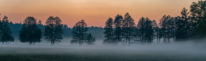 Naklejka na ściany i meble panorama of forest landscape in fog at sunset