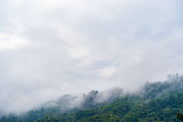 Hills with jungle in Nepal, covered with fog. Landscape with tropical rainforest. Reference image for CG drawing, matte painting. Stock photo.
