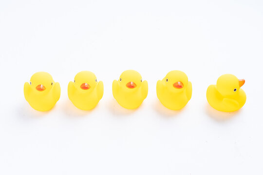 Leadership conceptual shot, a group of yellow rubber duck with one duck facing different direction
