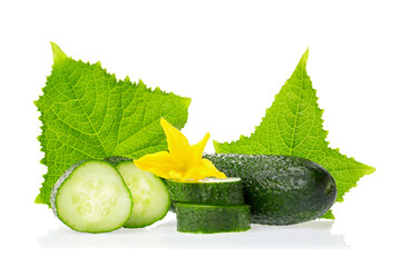 Organic healthy food. Fresh green cucumber natural vegetables with leaf and flower isolated on white background. Close up image